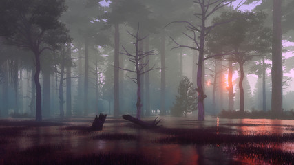 Dark mystical forest swamp at foggy dawn or dusk