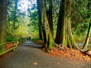 Goldstream Park