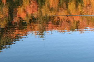 autumn leaves reflecting in water