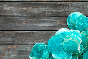 Shells frame for blog design on wooden background top view space for text