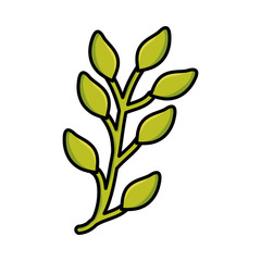 Fototapeta na wymiar branch with leafs plants garden