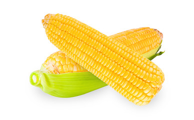 Corn cob on white background
