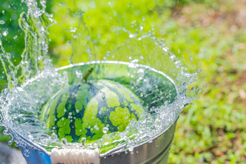 バケツで冷やしているスイカ