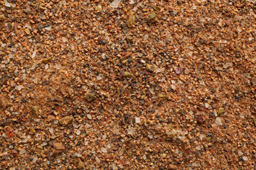 Ground mixed pepper as background, top view