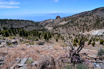 Desert valley landscape