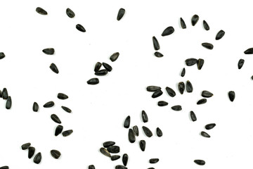 Sunflower seeds, background or texture isolated on white. lose-up.