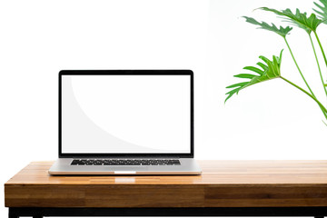 Laptop blank screen on wooden table green plant on white background