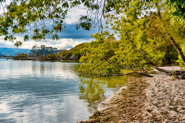 The tree lined shores of Lake Tarawera in Rotorua New Zealand