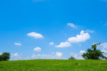 【写真素材】 青空　空　雲　夏の空　草原　背景　背景素材　草原　7月　コピースペース
