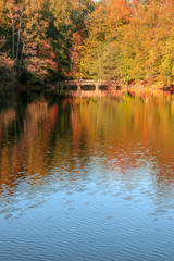 Fototapeta na wymiar autumn leaves reflecting in water
