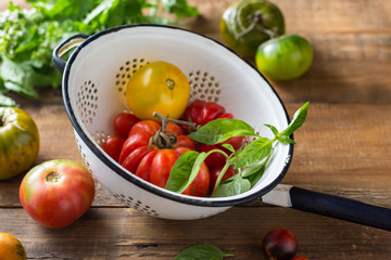 Farm tomatoes and herbs in a colander. Close up. Organic vegetables.