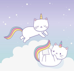 cute cats with rainbow tail kawaii characters