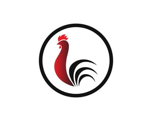 Rooster Logo Template vector illustration