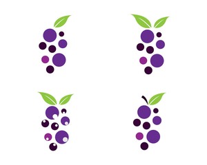Bunch of wine grapes with leaf icon for food apps and websites