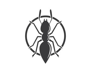 Ant icon vector illustration design