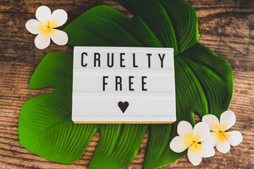 cruelty free message on lightbox vegan products and ethics