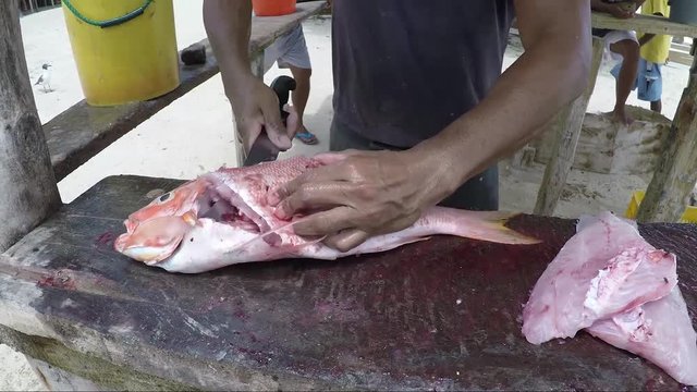 Los Roques venezuela -close up of a local Caribbean fisherman  filleting a freshly caught red snaper