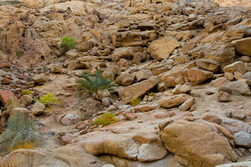 mountains and rock formations in the sinai desert 
