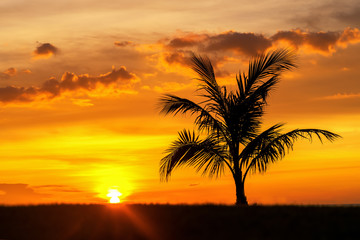 Obraz na płótnie Canvas Beautiful Silhouette coconut palm tree on sky neary sea ocean beach at sunset or sunrise time for leisure travel and vacation concept