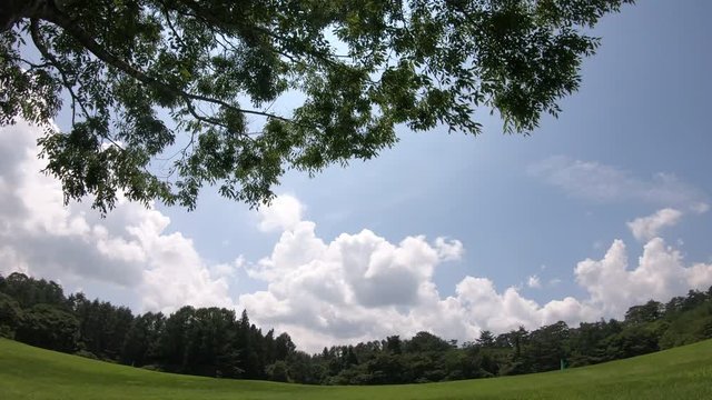 子供と公園　富士山近郊の森　晴れの日の草原