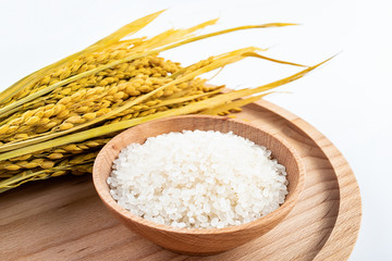 Fototapeta na wymiar Golden rice ear and white round grain northeast rice
