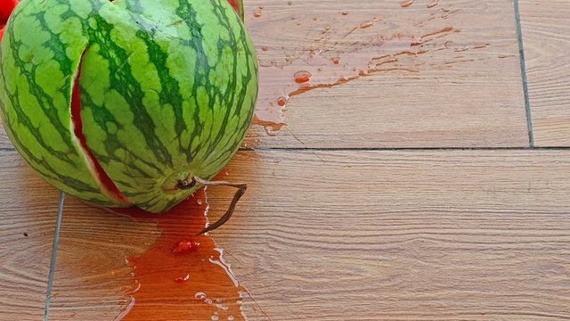 fresh watermelon dropped to the floor at normal speed and 5 times slow motion