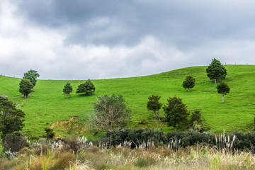 landscape with field and blue sky