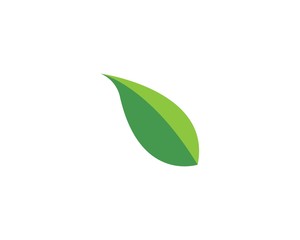 Logos of green leaf ecology nature element vector icon