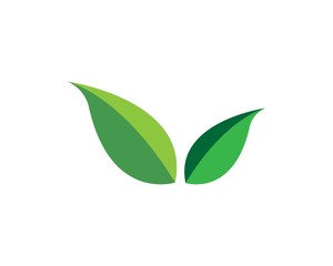 Logos of green leaf ecology nature element vector icon