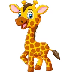 Cute giraffe cartoon isolated on white background 