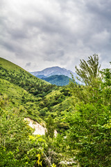 Fototapeta na wymiar Mountains of Kazakhstan, Talgar Gorge, nature, mountains, spruce