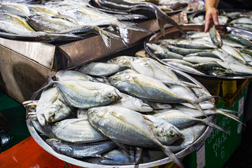Fresh fish for sale in the morning market, Muang Chumphon Municipal Food Market Thailand