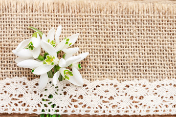 Bouquet of snowdrop flowers (Galanthus nivalis) on wooden background