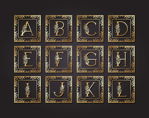 letters alphabet in square frame with leafs