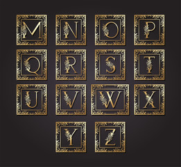 letters alphabet in square frame with leafs