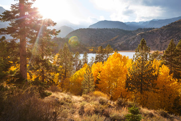 Autumn in Sierra Nevada