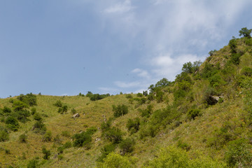Fototapeta na wymiar landscape of the foothills of the Tien Shan