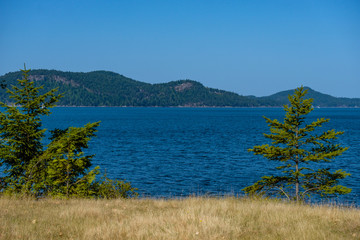 Fototapeta na wymiar park by the cost with brown grassy field and few pine trees under the sun and forest covered mountains over the horizon on the blue ocean under clear blue sky