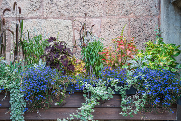 nice flowers in the container