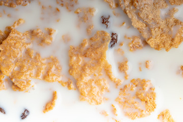 Cereals, granola with milk texture close-up, macro