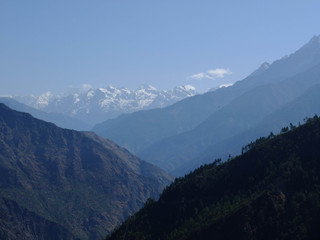 ネパールのチトワン国立公園