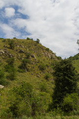 Fototapeta premium landscape of the foothills of the Tien Shan