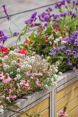 nice flowers in the containers