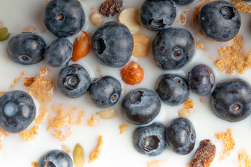Cereals, granola with blueberries with milk texture closeup, macro
