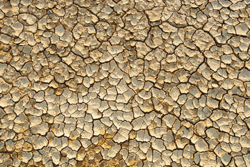 Dry cracked ground background.