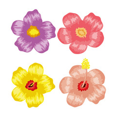 set of tropical flowers plants