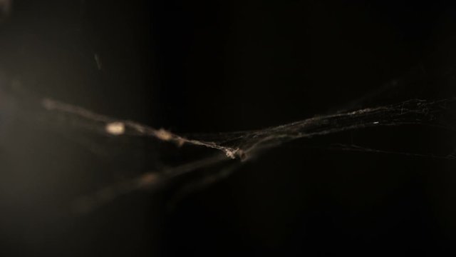 Cobweb or spider web in ancient thai house window lighting