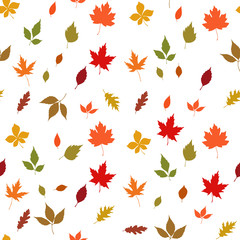 Fototapeta premium Autumn leaves seamless pattern on white background