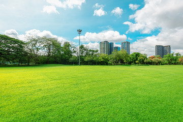 The lawn in the morning is sunny. There is a city and sky as the background. - 282570526