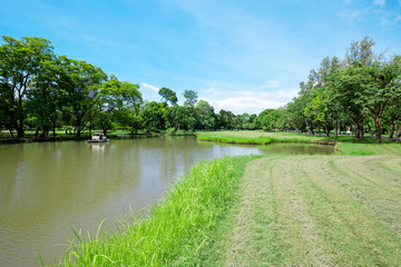 Pond in the park And trees in spring. Natural background